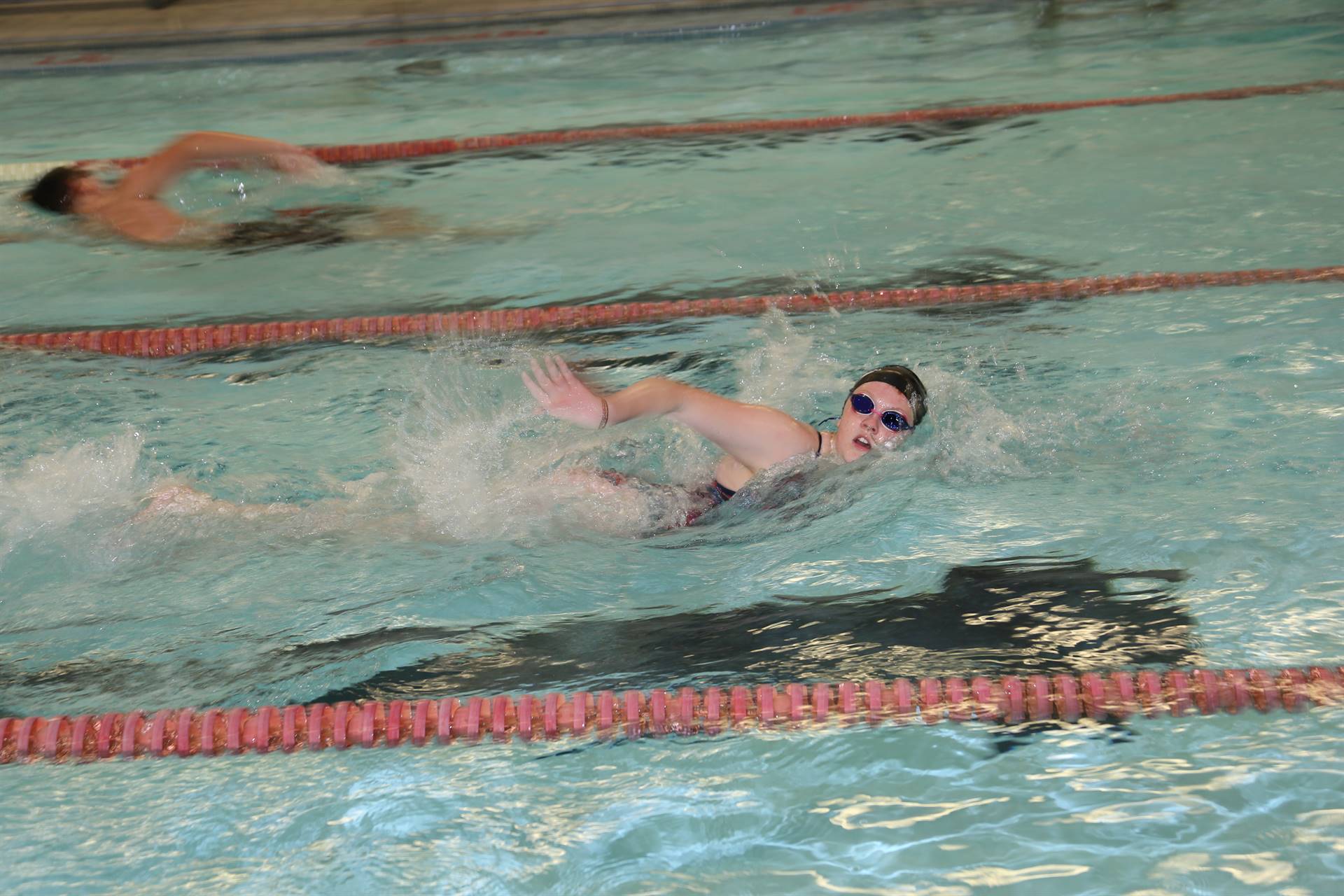 swimmer freestyle stroke