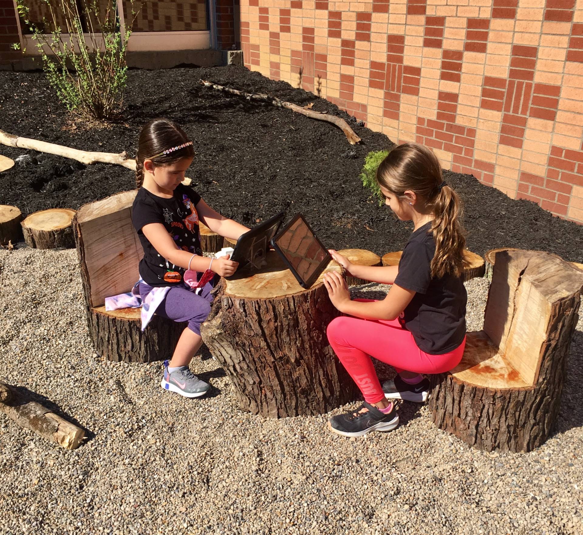 Two students reading outdoors sitting on logs cut out as chairs as part of new naturescape at monroe