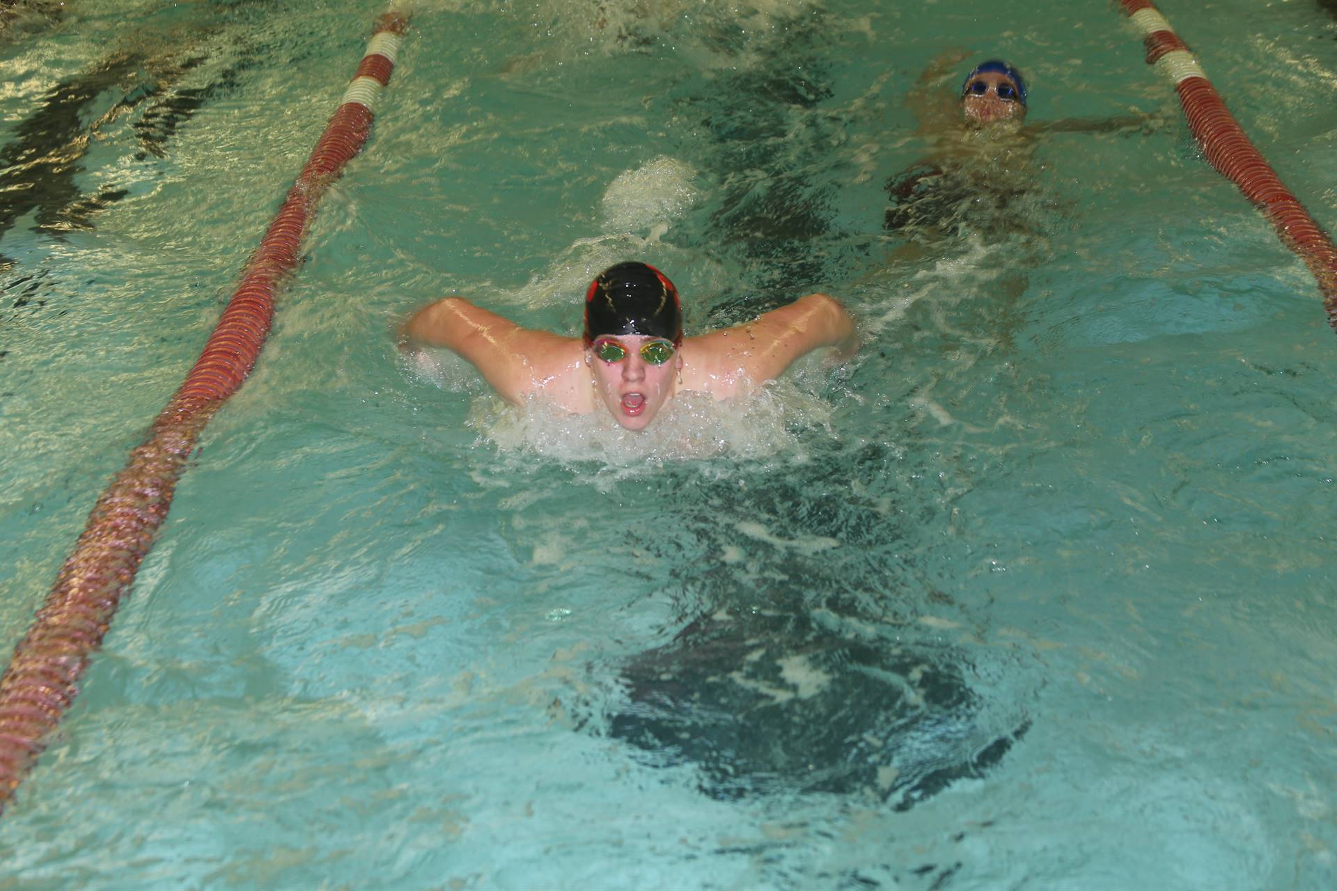 swimmer doing butterfly and another in lane doing back stroke